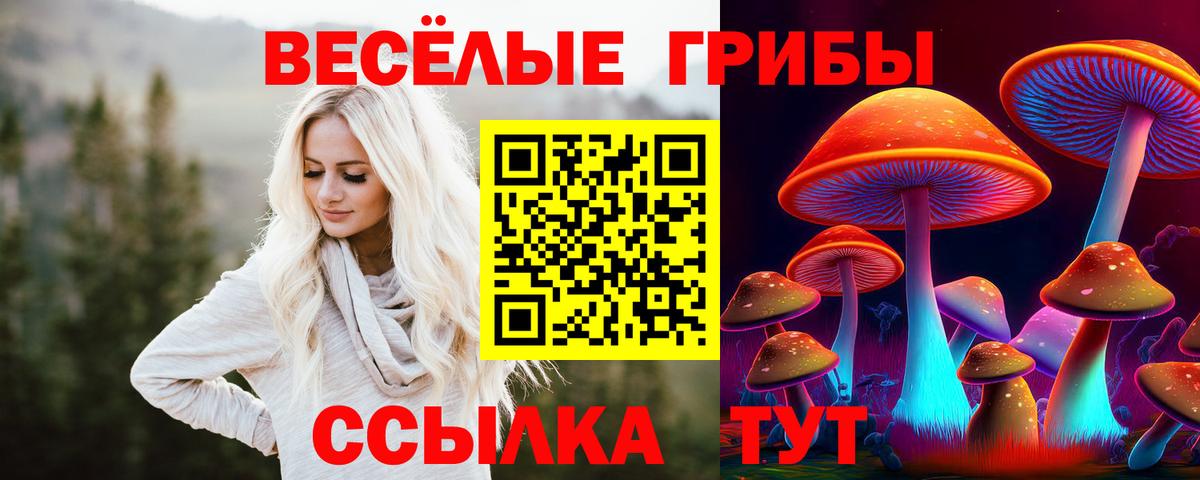 Армавир  Псилоцибиновые грибы Psilocybe  Вход с VPN 